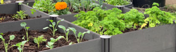 How to prepare your Garden Beds for Spring