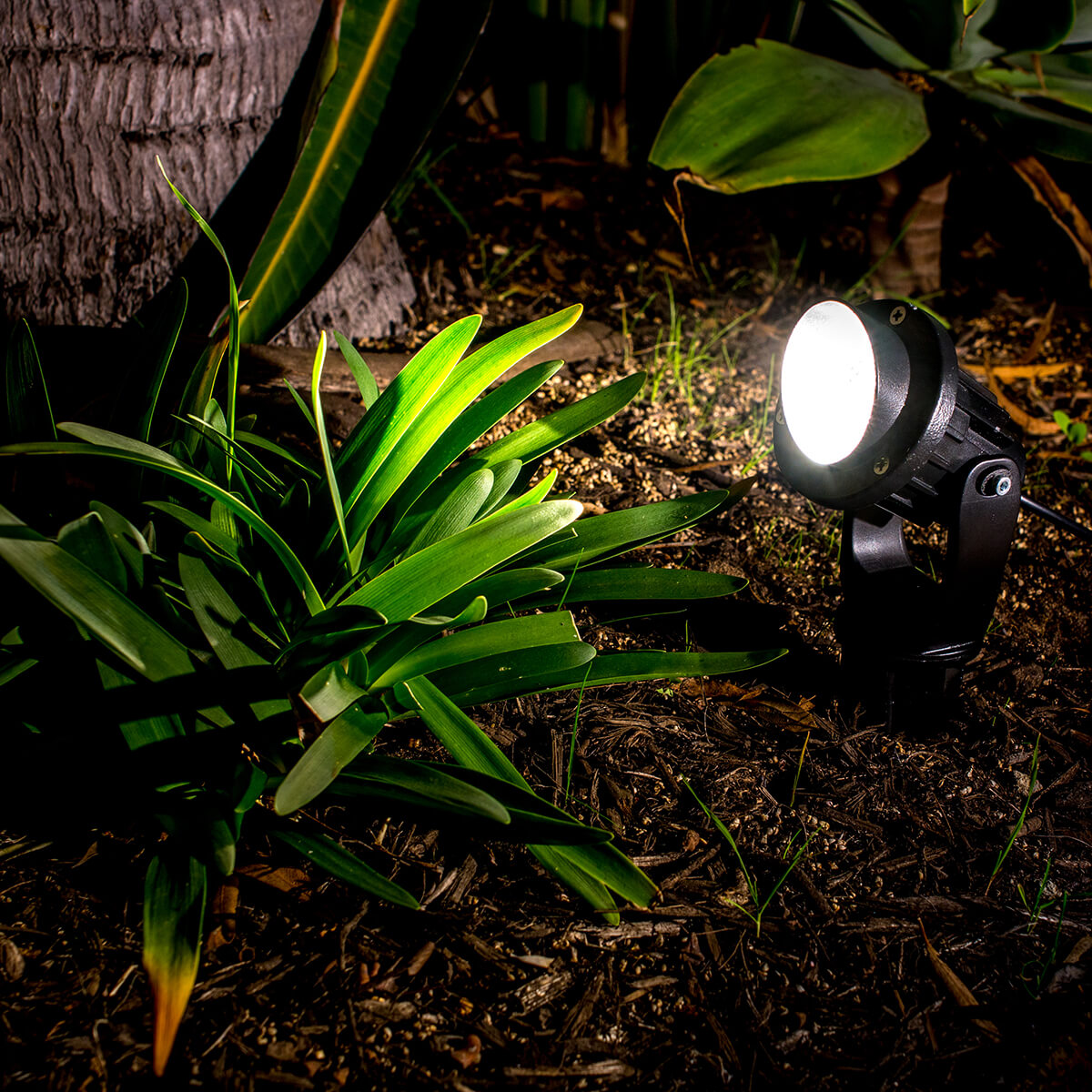 Garden Lights - Warm White Spotlight