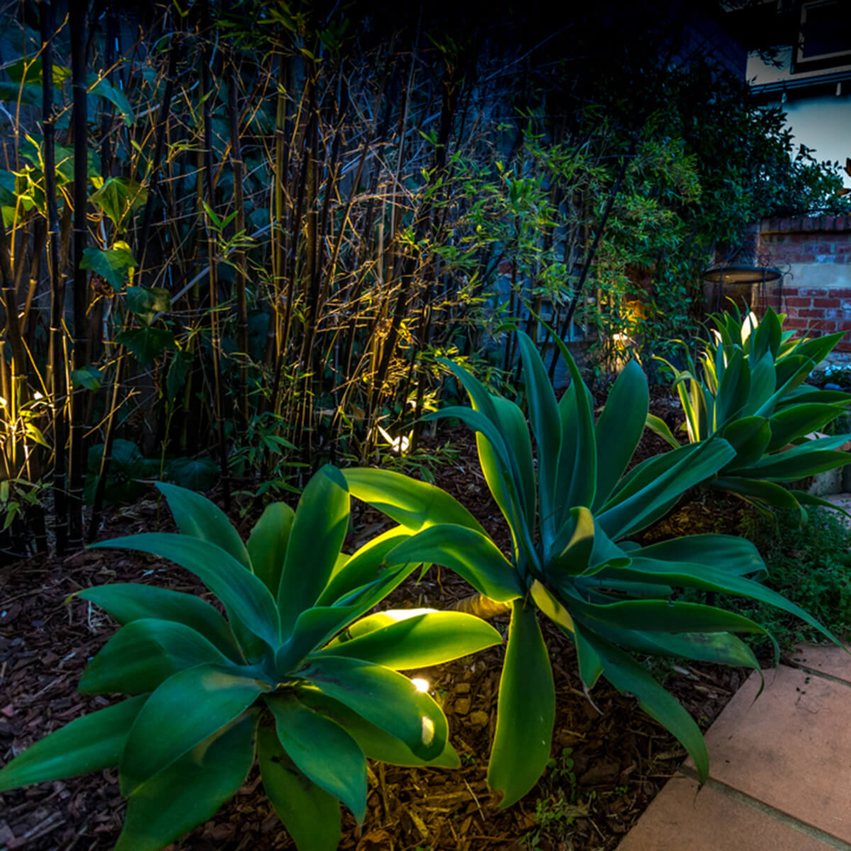 Garden Lights - Warm White Spotlight