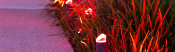 7 Easy Steps For Smart Wi-Fi Garden Lights