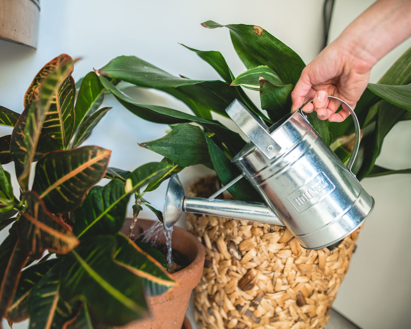 watering-can-in-spring-1